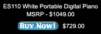 Kawai ES110 White Portable Digital Piano - Buy Now!