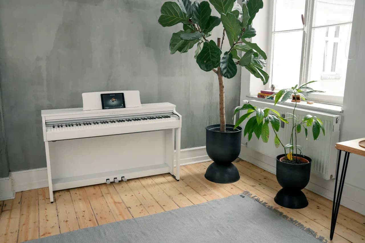 Kawai CN201 Digital Piano