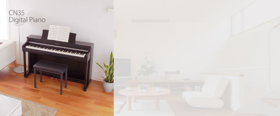 Kawai CN35 Digital Piano