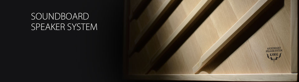 Kawai CS10 Soundboard Speaker System