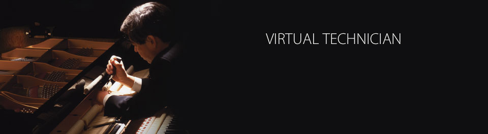 Virtual Technician