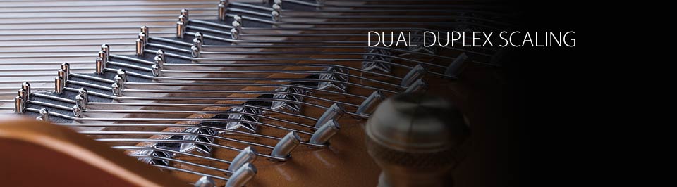 Kawai GX BLAK Series Dual Duplex Scale