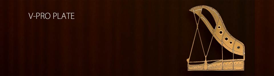 Kawai GX BLAK Series V-Pro Plate